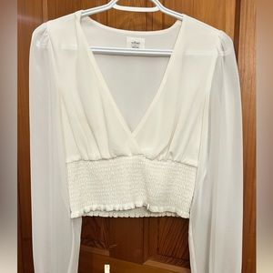 Wistful Aritzia Blouse